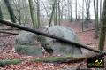 Findling 1 bei Haselberg nahe Wierzen in der Märkischen Schweiz, Brandenburg, (D) (5) 24. Januar 2016.JPG